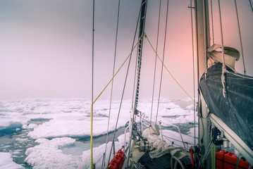 Fotobehang Zeilen Zeilboot tussen ijsbergen in Groenland  © Erwin Barbé