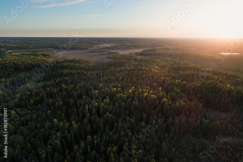 Aerial view of green boreal forest at sunrise in Kurjenrahka National Park, Finland photo