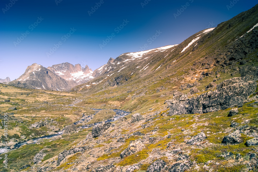 Fototapeta premium Greenland: walking along the river - North pole in the summer