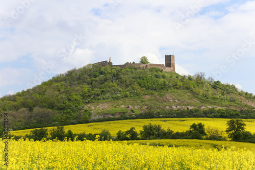 Burg Gleichen im Frühling, Thüringen, Rapsfeld