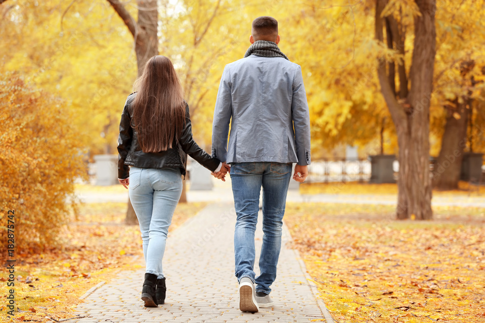 Young couple walking in park on autumn day Young couple walking in park on autumn day