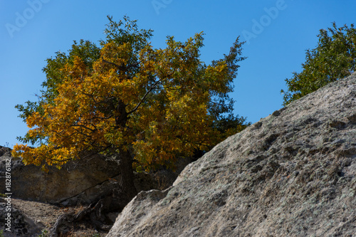 autumn realesing its golden colors in Phrygian valley