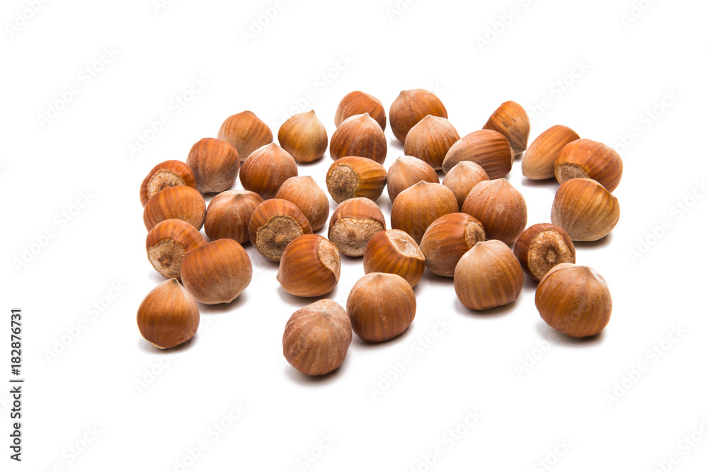 hazelnut nuts isolated hazelnut nuts isolated