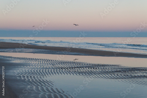 riflesso del gabbiano nel mare, bellissimo tramonto in spiaggia photo
