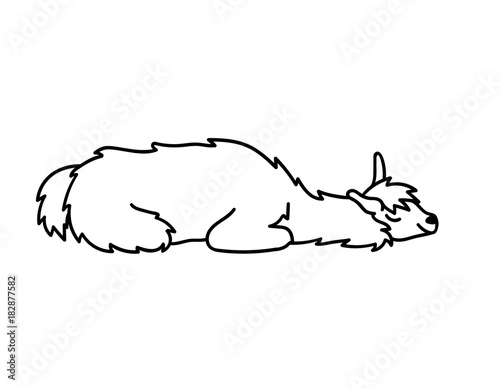 Vector illustration of cute character south America lama with decorations. Isolated outline cartoon baby llama. Hand drawn Peru animal guanaco, alpaca, vicuna. Drawing for print, fabric.