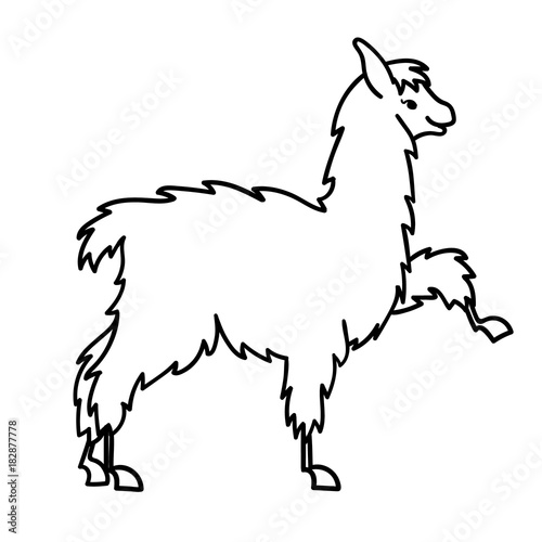 Vector illustration of cute character south America lama with decorations. Isolated outline cartoon baby llama. Hand drawn Peru animal guanaco, alpaca, vicuna. Drawing for print, fabric.