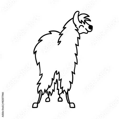 Vector illustration of cute character south America lama with decorations. Isolated outline cartoon baby llama. Hand drawn Peru animal guanaco, alpaca, vicuna. Drawing for print, fabric.
