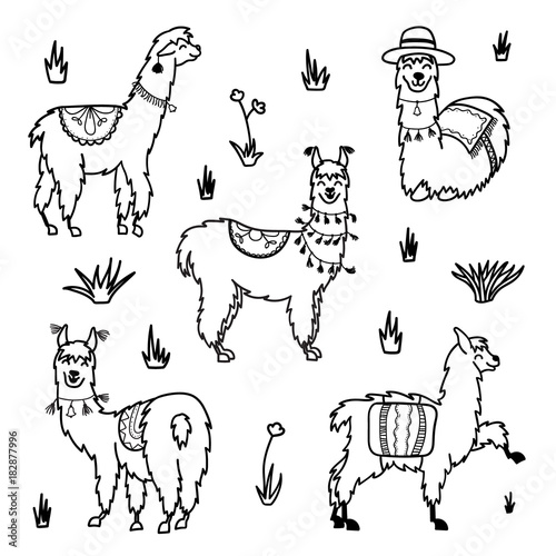 Vector set of characters. Illustration of south Americas cute lama with decorations. Isolated outline cartoon baby llama. Hand drawn Peru animal  guanaco, alpaca, vicuna. Drawing for print, fabric.