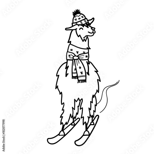 Vector illustration of cute character south America lama with decorations. Isolated outline cartoon baby llama. Hand drawn Peru animal guanaco, alpaca, vicuna. Drawing for print, fabric.