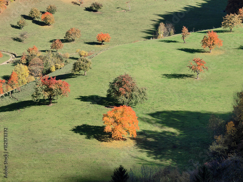 Paysage automnal. Reigoldswil en Suisse. photo