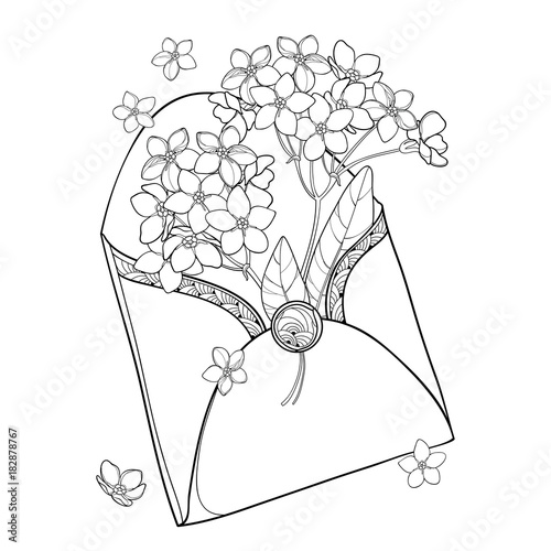 Vector bouquet with outline Forget me not or Myosotis flower in opened black craft envelope isolated on white background. Wildflower Forget-me-not in contour style for spring design or coloring book.