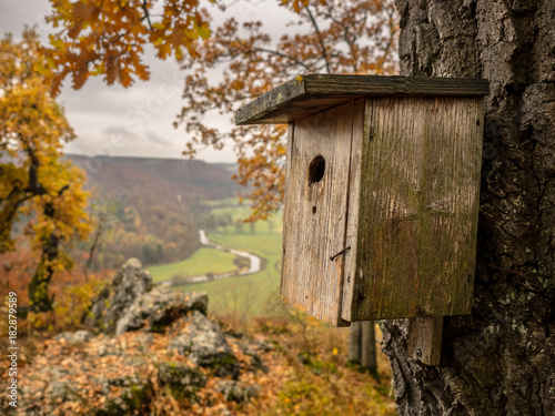 birdhouse with great view