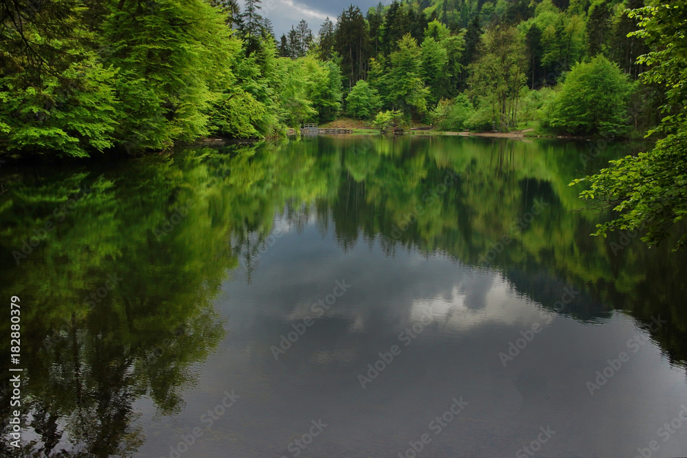 Small lake with reflections on the water surface, in a beautiful, natural forest
Small lake with reflections on the water surface, in a beautiful, natural forest