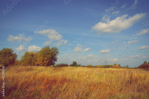 autumn field of a cloud on a blue sky