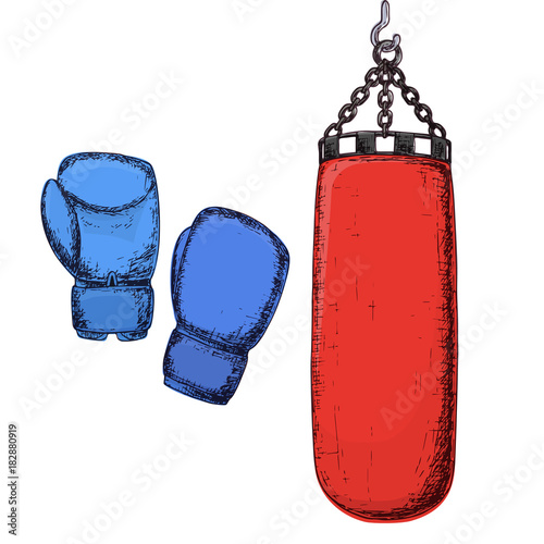 Punching bag and boxing gloves, cartoon illustration of gym equipment for home exercise. Vector