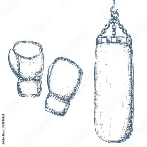 Punching bag and boxing gloves, cartoon illustration of gym equipment for home exercise. Vector