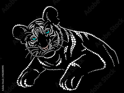 Fototapeta Naklejka Na Ścianę i Meble -  White tiger cub