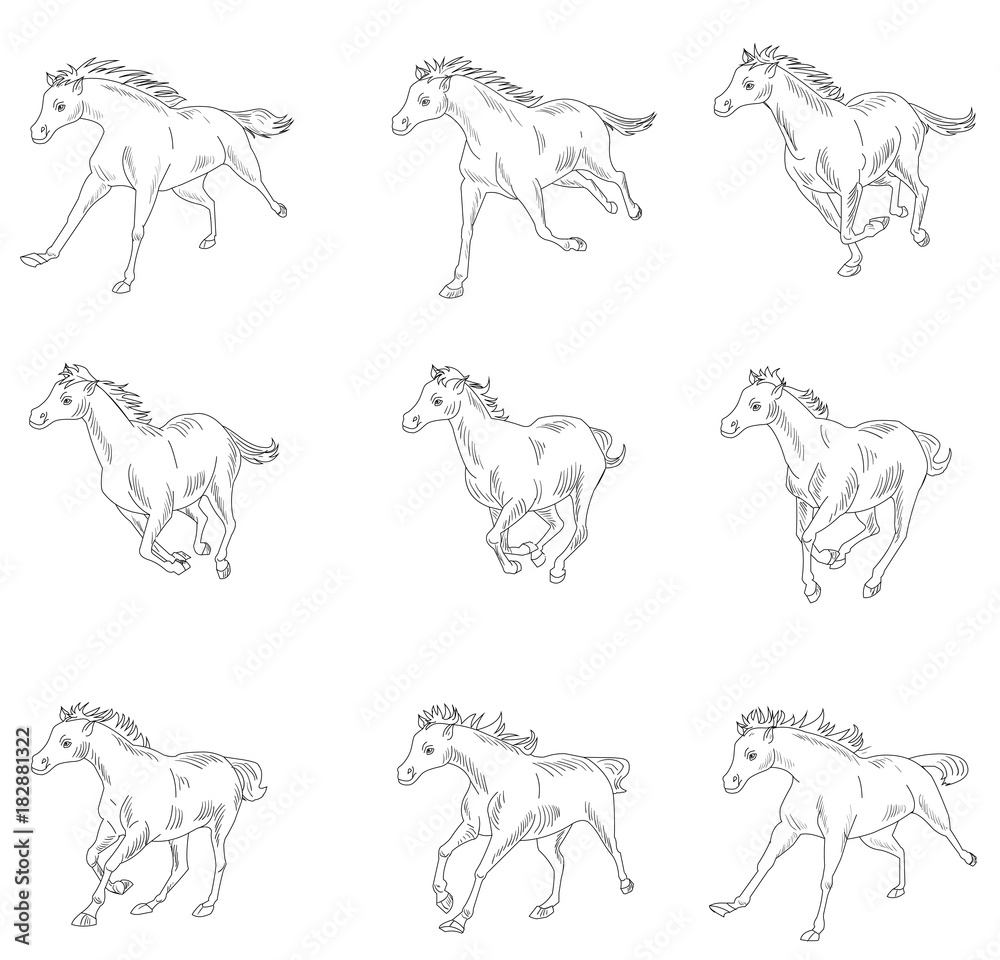 Horse running, silhouette, racecourse, competition, sprite sheets, animation  frames Stock Vector | Adobe Stock