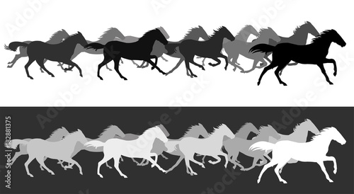 Horse running  silhouette  racecourse  competition  