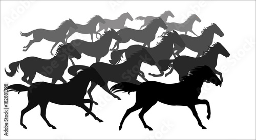 Horse running  silhouette  racecourse  competition  