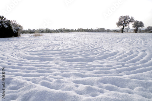 Winter snowy landscape.