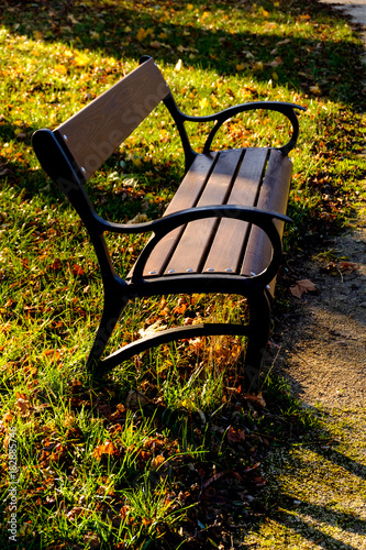 Old fashioned wooden bench on grass by Esteházy castle in Fertod  (Hungary) in Autumn