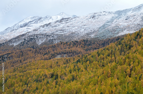 Herbst in den Bergen