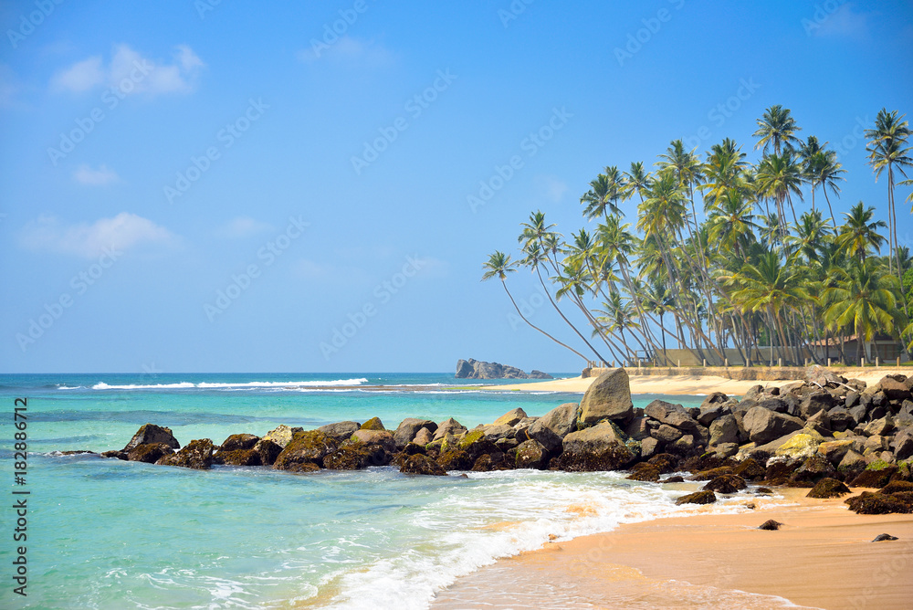 Naklejka premium tropical beach