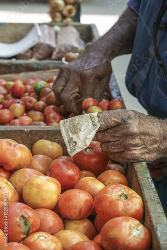 Photography Male hand holding money against tomatoes in an open market in Cuba