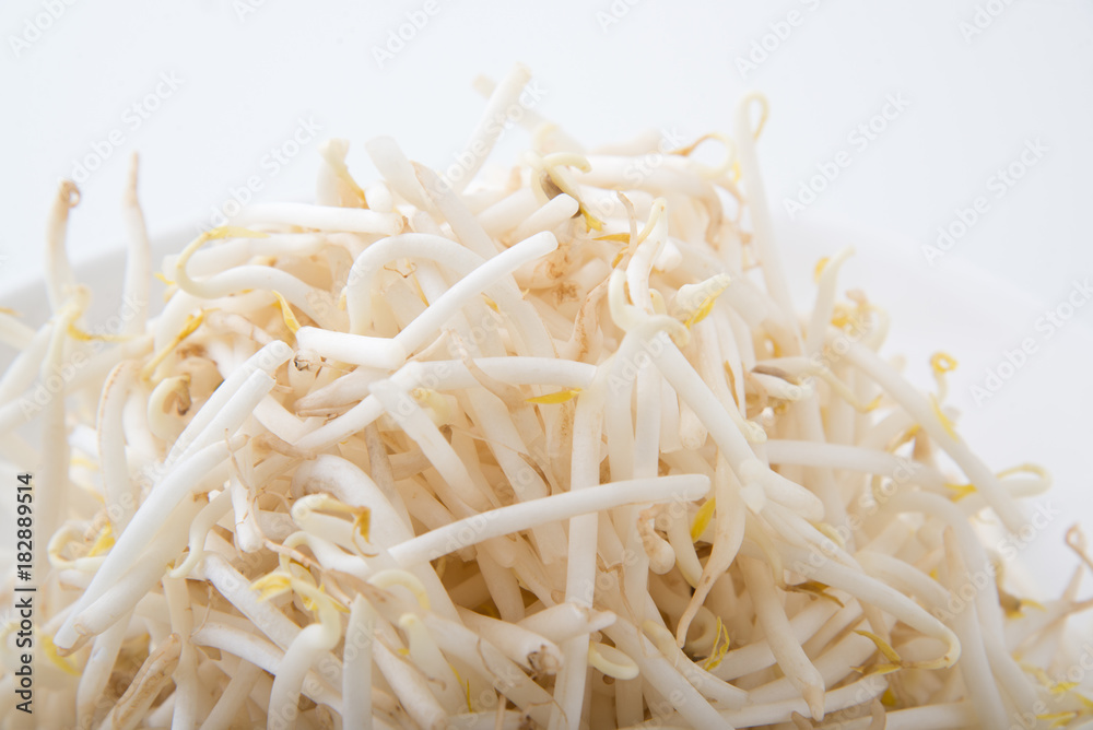 isolated bean sprout on white plate