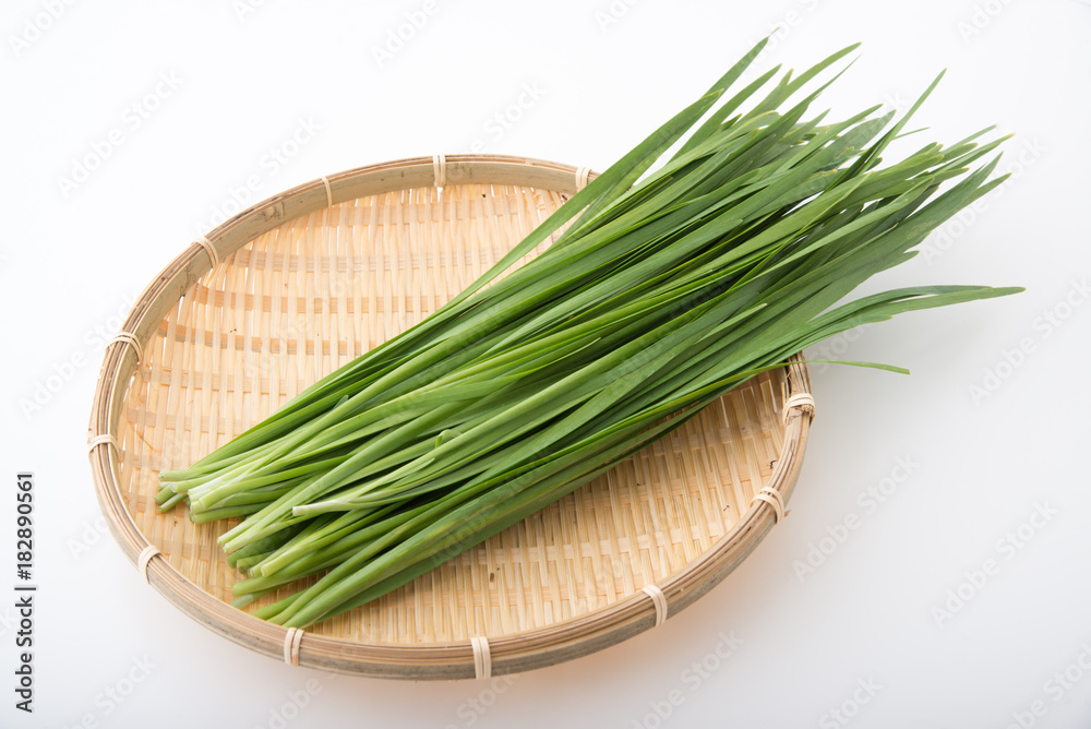 isolated chinese leeks on sieve isolated chinese leeks on sieve