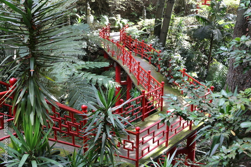 Botanical garden in Madeira photo