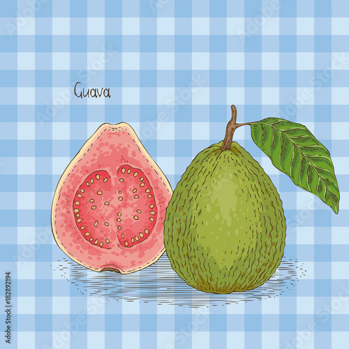 Card with Ripe Guava with Leaf photo