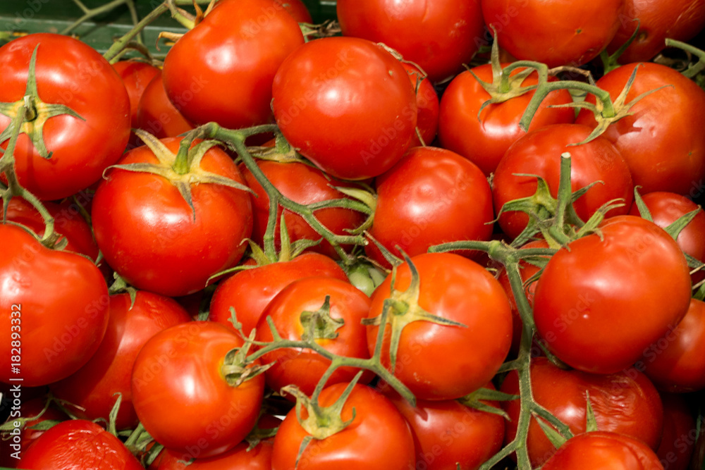 ripe tomatoes lie in a large heap ripe tomatoes lie in a large heap