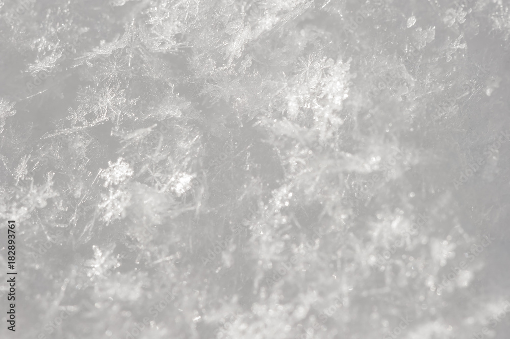 snowflakes close-up, natural background in natural conditions snowflakes close-up, natural background in natural conditions