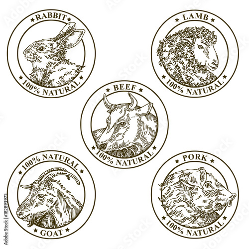 Set of farm animals labels. Engraving style. Vector illustration.