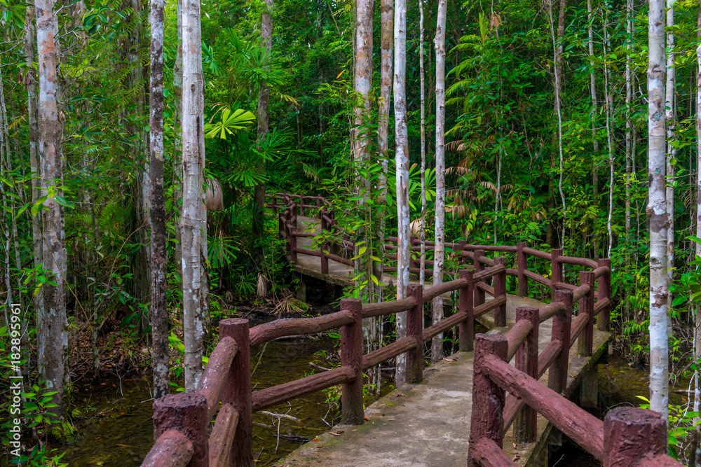 Naklejka premium A winding path with a beautiful fence in the nature reserve of Thailand, Krabi province