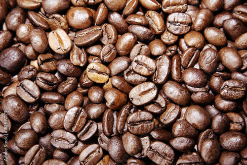 Close-up of roasted coffee beans. Full frame