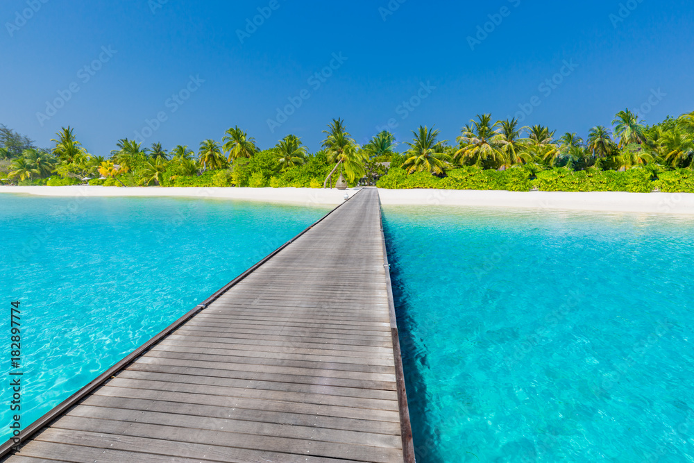 Fototapeta premium Perfect tranquil beach scene, soft sunlight and white sand and blue endless sea as tropical landscape