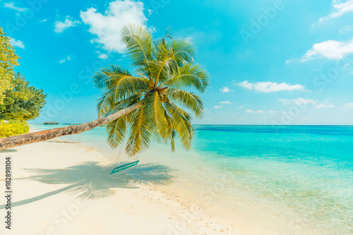 Fototapeta Naklejka Na Ścianę i Meble -  Perfect beach view. Summer holiday and vacation design. Inspirational tropical beach, palm trees and white sand. Tranquil scenery, relaxing beach, tropical landscape design. Moody landscape