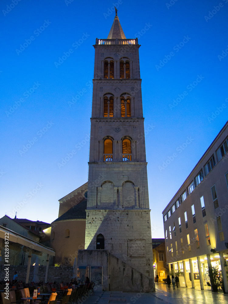 Fototapeta premium OLYMPUS DIGITAL CAMERA