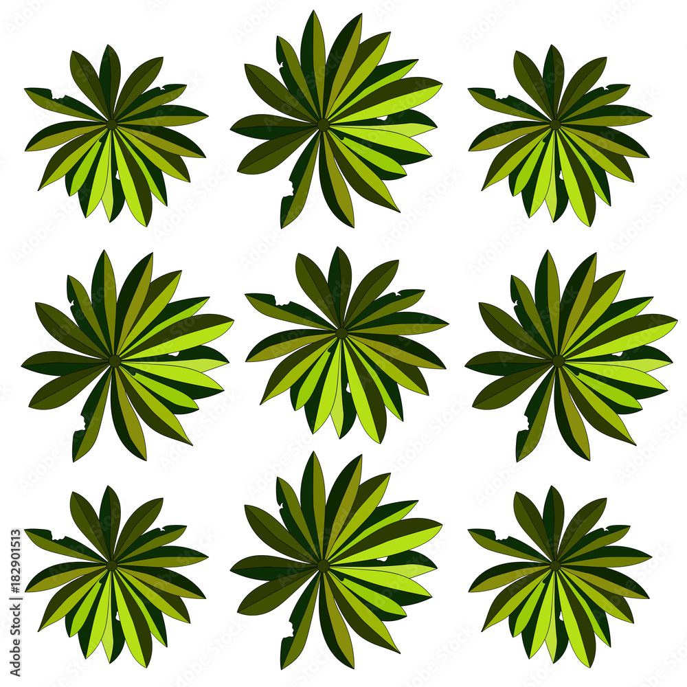 green tropical leaves on white background, beach theme