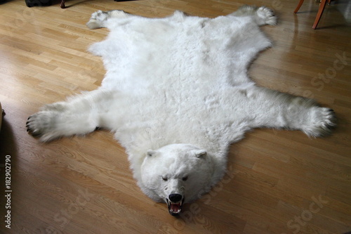 Foto Polar bear skin / Polar bear skin on the floor