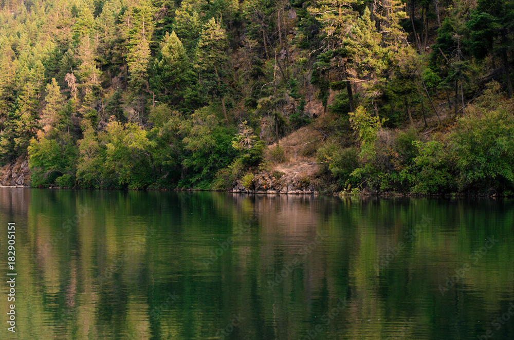 a green reflection on a lke