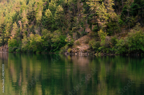 a green reflection on a lke © Eagle