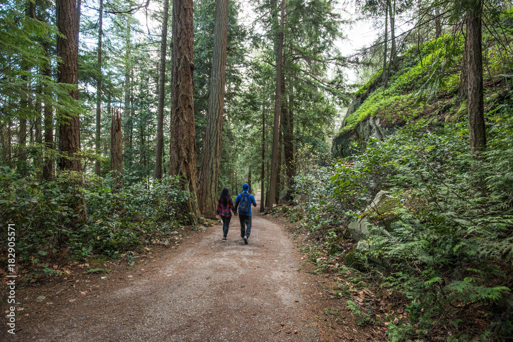 Walking on Vancouver rain forest