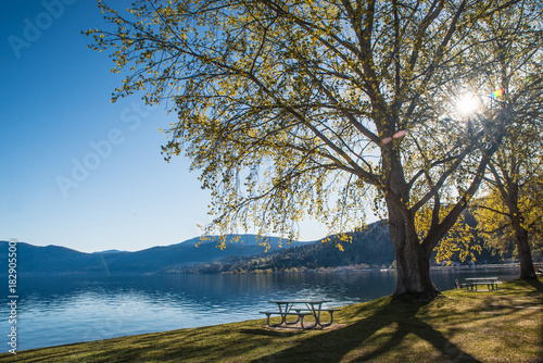 Girl looking at the Okanagan Lake in Peachland British columbia Canada photo