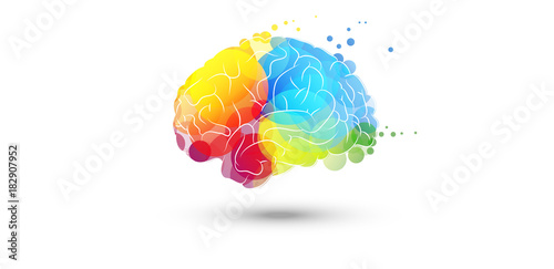cervello, fantasia, colori
