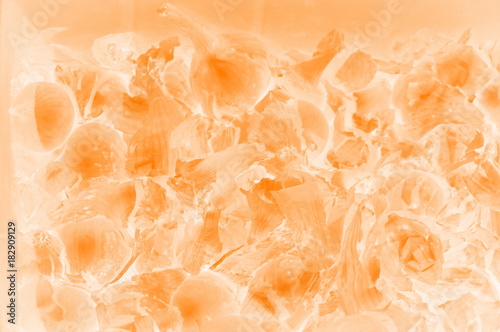 orange white onion abstract background texture