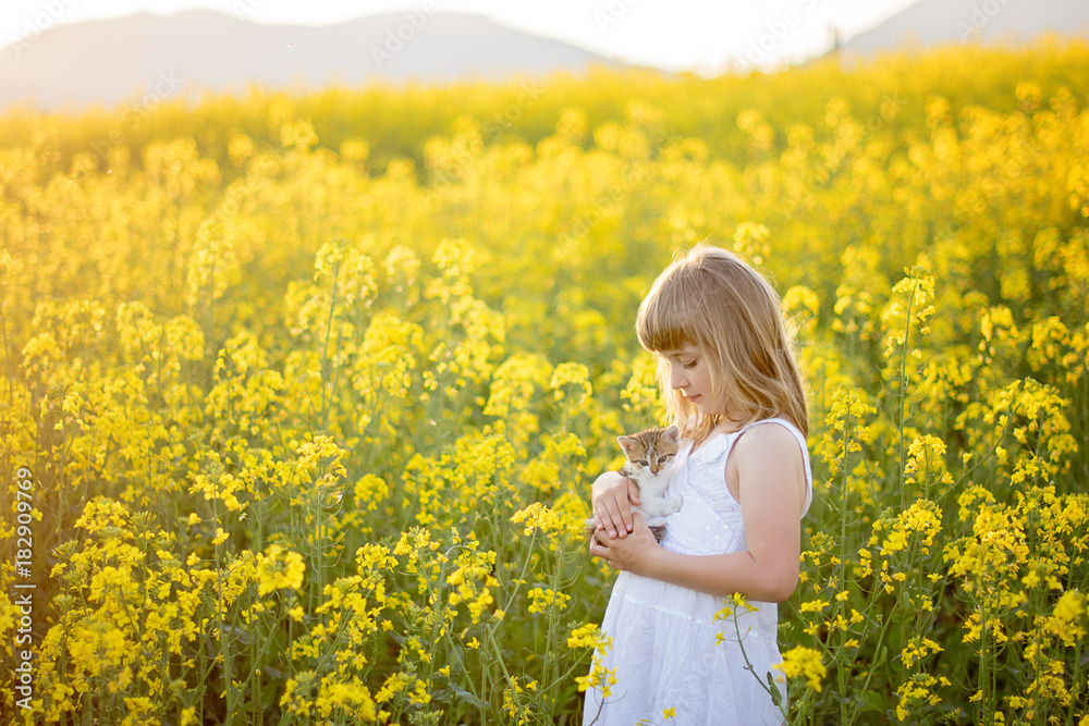 young blond girl holding a kitten capture from the side young blond girl holding a kitten capture from the side